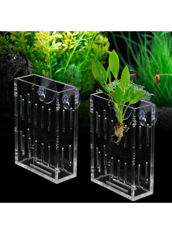 VAYINATO 2 Pcs (Small - 6Cm) Acrylic Transparent Water Plant Holder With Strong Suction Cup For Aquarium Fish Tank, Aquaponic Plant Growing Landscape By Petzlifeworld - Image 1