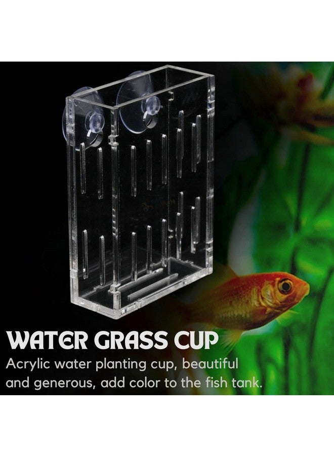 VAYINATO 2 Pcs (Small - 6Cm) Acrylic Transparent Water Plant Holder With Strong Suction Cup For Aquarium Fish Tank, Aquaponic Plant Growing Landscape By Petzlifeworld - Image 2