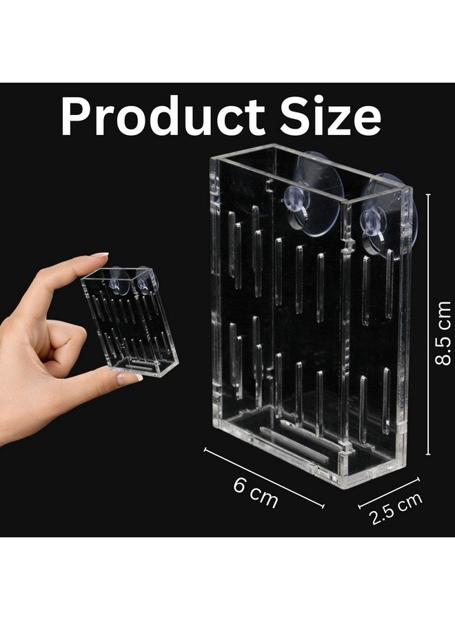 VAYINATO 2 Pcs (Small - 6Cm) Acrylic Transparent Water Plant Holder With Strong Suction Cup For Aquarium Fish Tank, Aquaponic Plant Growing Landscape By Petzlifeworld - Image 4