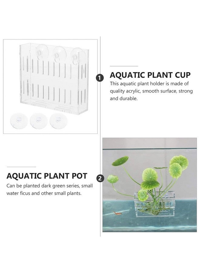 VAYINATO 2 Pcs (Small - 6Cm) Acrylic Transparent Water Plant Holder With Strong Suction Cup For Aquarium Fish Tank, Aquaponic Plant Growing Landscape By Petzlifeworld - Image 5