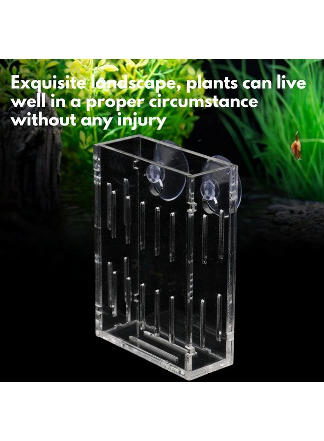 VAYINATO 2 Pcs (Small - 6Cm) Acrylic Transparent Water Plant Holder With Strong Suction Cup For Aquarium Fish Tank, Aquaponic Plant Growing Landscape By Petzlifeworld - Image 3