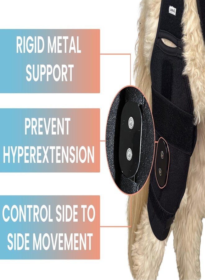 Labra Dog Canine Knee Stifle Brace Wrap, Metal Splint Hinged Flexible Support Brace for K9 ACL, CCL, Luxating Patella, Cruciate Ligament Sprains in Back, Rear, Hind Leg (Extra Small) - Image 4
