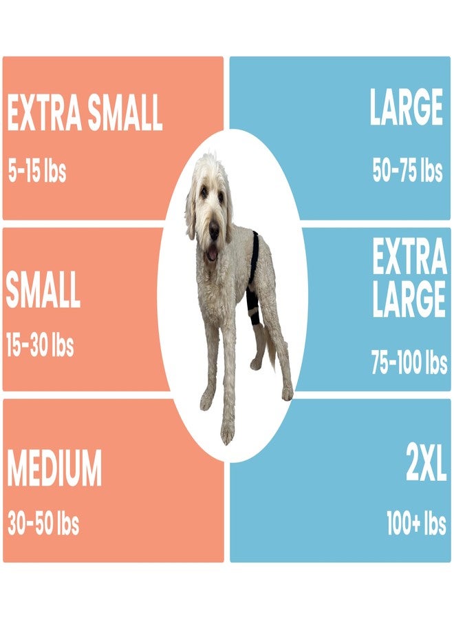 Labra Dog Canine Knee Stifle Brace Wrap, Metal Splint Hinged Flexible Support Brace for K9 ACL, CCL, Luxating Patella, Cruciate Ligament Sprains in Back, Rear, Hind Leg (Extra Small) - Image 2