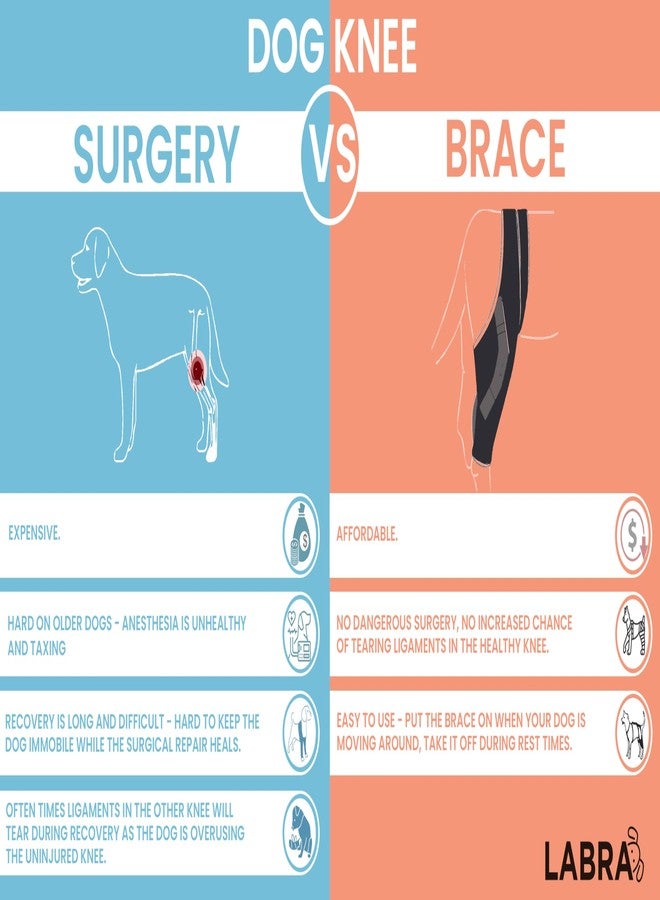 Labra Dog Canine Knee Stifle Brace Wrap, Metal Splint Hinged Flexible Support Brace for K9 ACL, CCL, Luxating Patella, Cruciate Ligament Sprains in Back, Rear, Hind Leg (Extra Small) - Image 5