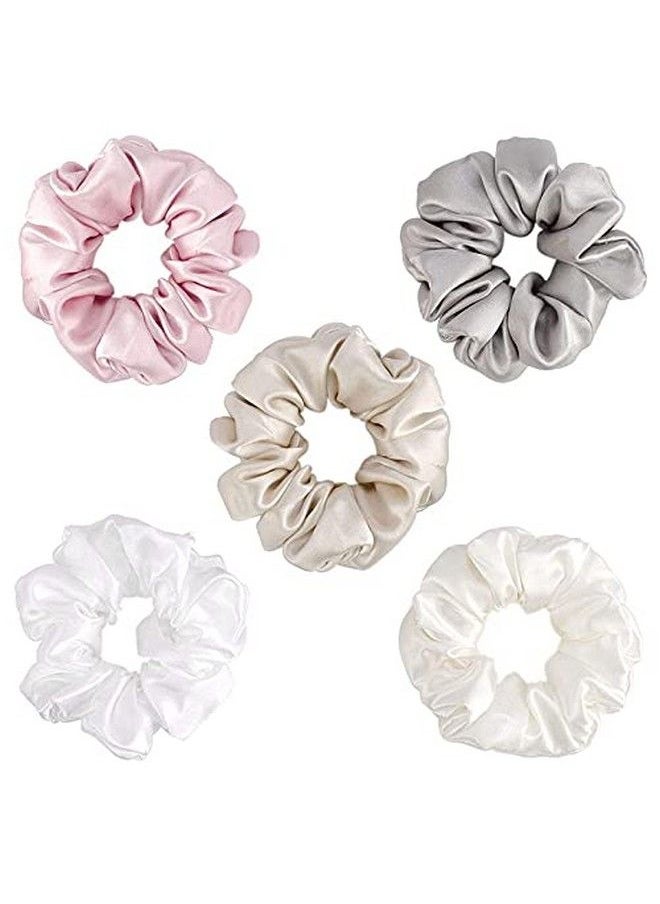 Fameza 5 Pcs Silk Scrunchies 100% Pure 19 Momme Mulberry Ponytail Holder Elastic Bobbles Hair Ties For Women Girls Hair Accessories  - Image 1