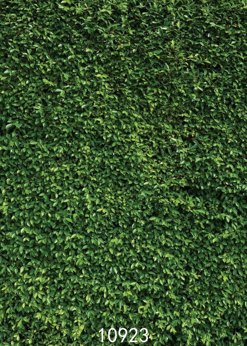 SJOLOON 5X7ft Green Leaves Backdrop Greenery Backdrop Natural Green Lawn Party Photography Backdrop Birthday Newborn Baby Lover Wedding Photo Studio Props 10923 - Image 2
