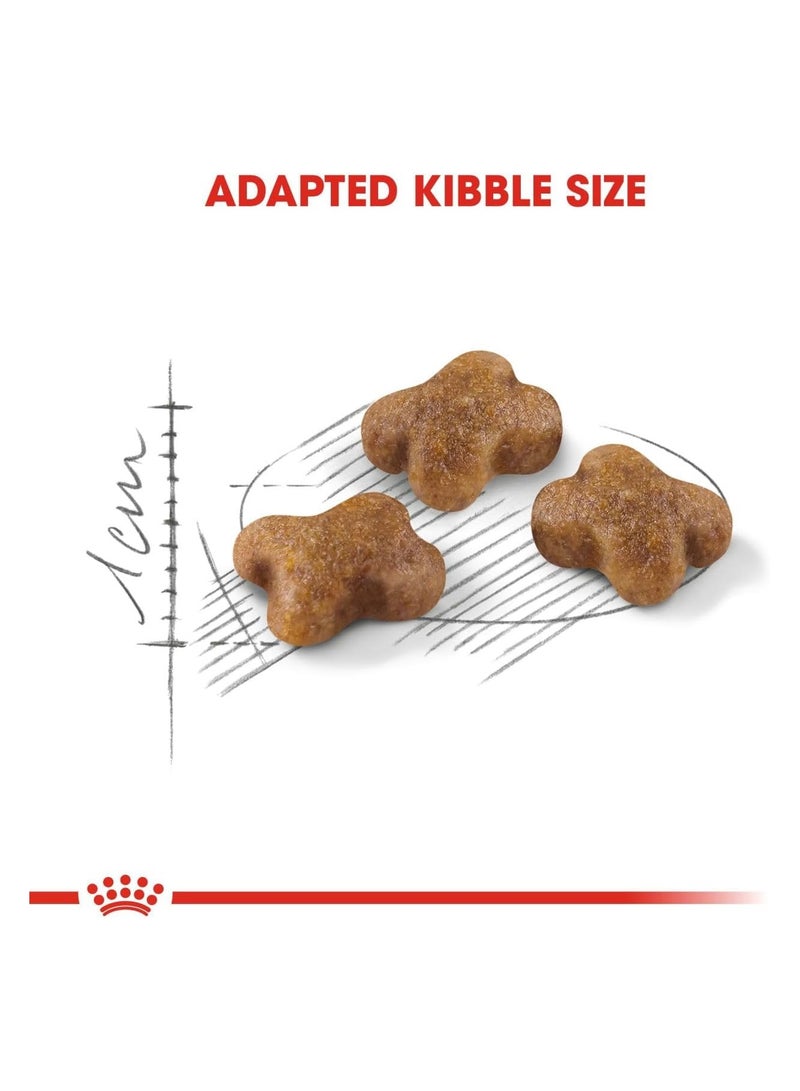 Royal Canin Feline Health Nutrition Kitten 2kg Cat Dry Food - Image 4