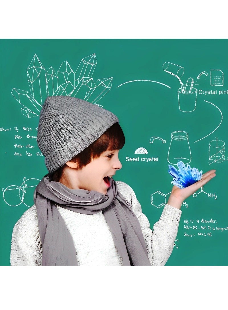 مجموعة ألعاب تعليمية بسيطة مصممة لتعزيز التجارب العلمية من خلال نمو النباتات الكريستالية، تحفز اهتمام الأطفال بالتعلم والفضول والاهتمام بالعلوم بواسطة التجارب اليدوية البسيطة، اللون أرجواني - Image 4