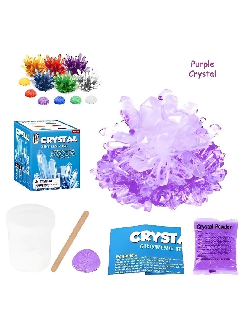 مجموعة ألعاب تعليمية بسيطة مصممة لتعزيز التجارب العلمية من خلال نمو النباتات الكريستالية، تحفز اهتمام الأطفال بالتعلم والفضول والاهتمام بالعلوم بواسطة التجارب اليدوية البسيطة، اللون أرجواني - Image 1