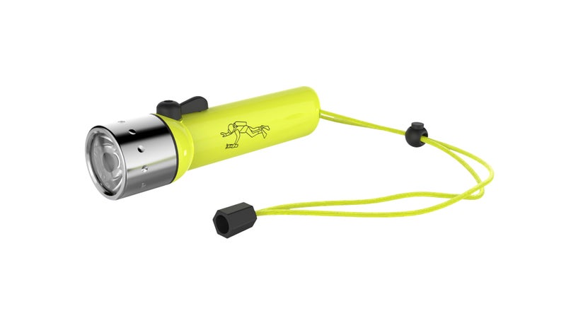 Ledlenser D14.2 Flashlight Gift Box