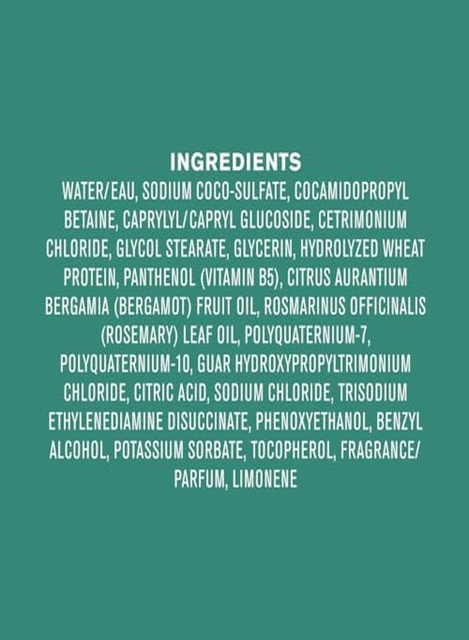 EVERY MAN JACK Sea Salt 2 in 1 Shampoo, 13.5 FZ - Image 3