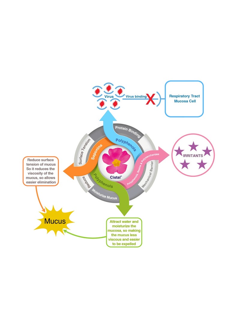 Bioserv Cistal Syrup Cough and Cold 100 ML - Image 3