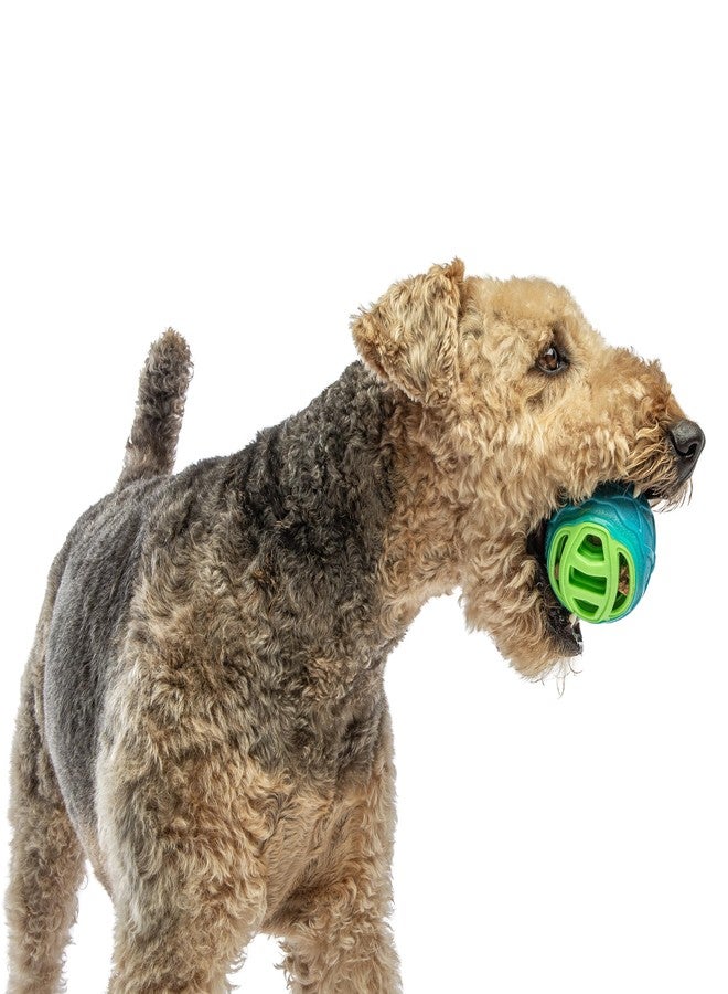 GURU Pet: Pocket Ball - Medium - Blue & Green Dog Toy, Interactive Bone & Treat Holder Ball, 3.7" Durable Chew, Squeaks-Floats, Water Play-Fetch-Roll - Image 3