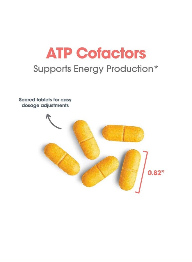 Optimox ATP Cofactors Supplement - Vitamin B Complex for Men & Women, Vitamin B2, Vitamin B3, 100mg Riboflavin, 500mg Niacin, High Potency Tablets - 90 Count - Image 5