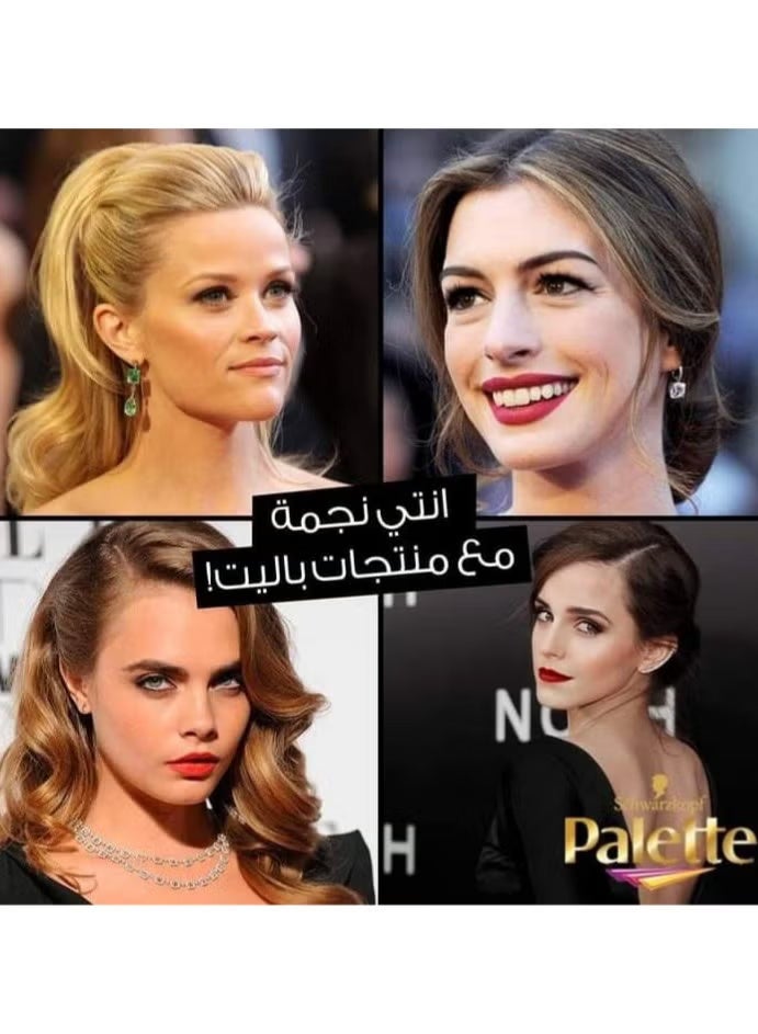 باليت صبغه 3 - 65 شوكولا غامق 110 مل - Image 4