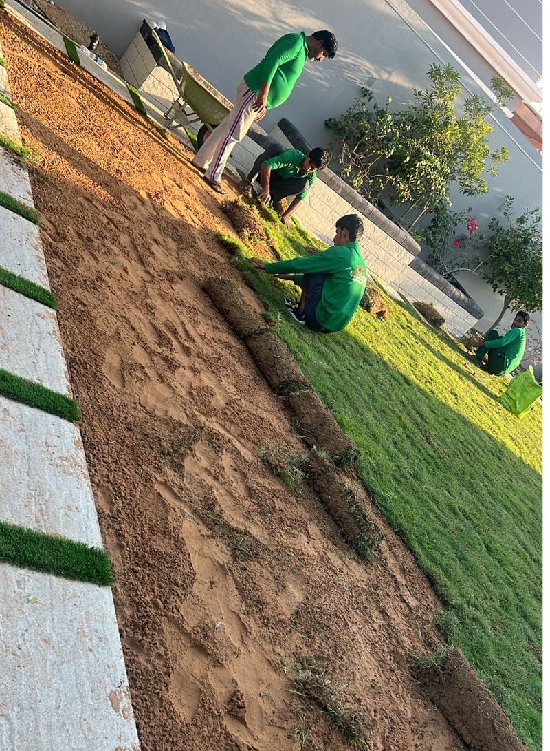 العشب الطبيعي - Image 2