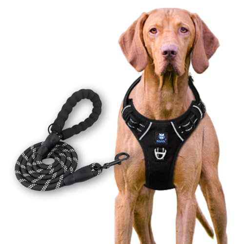 HANK Dog Harness Leash Set - Soft Comfortable Handle - Dog Vest for Small Breed - No Pull Harness - Dog Vest for Training - Walking (Black - S (Harness + Leash) - Image 1