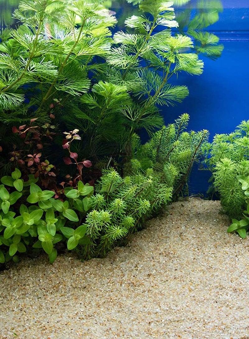 Generic Super Naturals Golden Crystal Stones Aquarium Substrate For Fish Tank 2-4mm  - Image 4