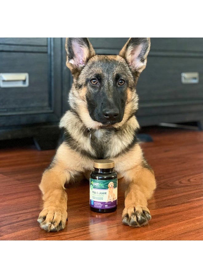 petnc NATURAL CARE Petnc Natural Care Hip and Joint Health Early Mobility Chewables for Dogs, 60 Count (27478)  - Image 5
