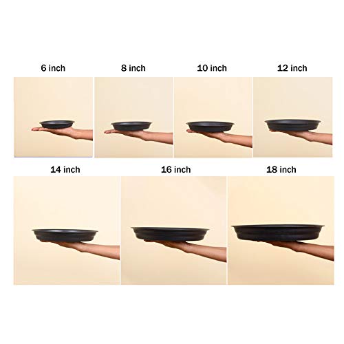 SPYLARK'S™ Heavy Duty Planter Gamla Bottom Plate/Tray/Saucer Base Plate/Dip Tray for Flower Pots-Black(6inch) (Pack of 8) - Image 2