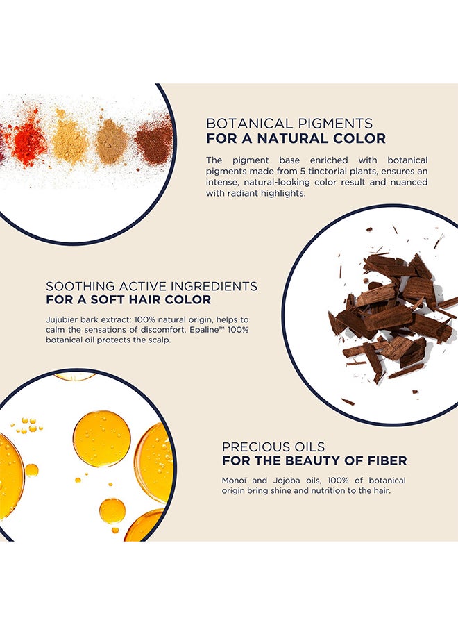 Phyto Pack of 2 - Phyto Phytocolor 1 black - Image 2