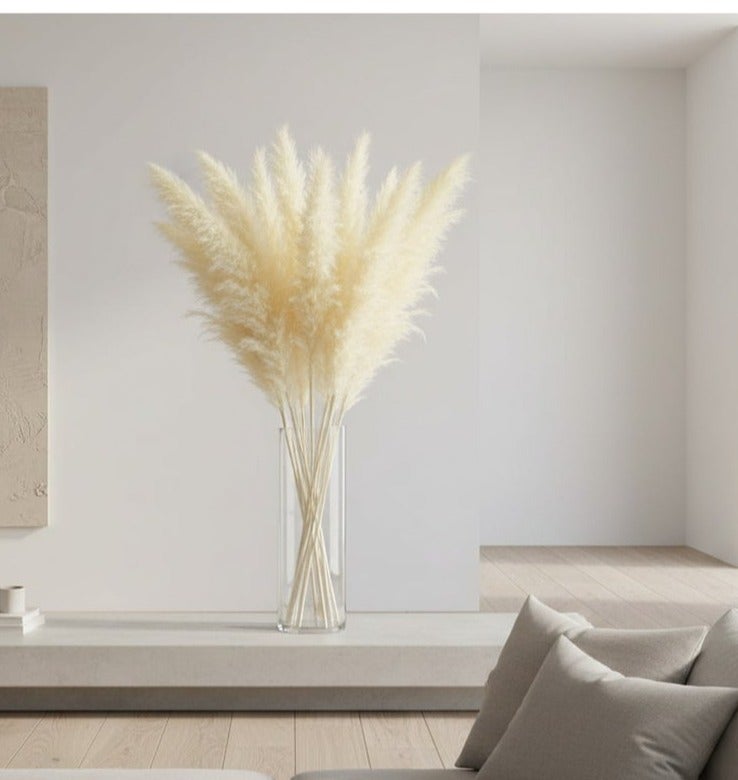 فانسي فلورز بامباس جراس طبيعي مجفف من FANCY بطول 70 سم بلون أبيض كريمي لديكور المنزل (10 عود) - Image 1