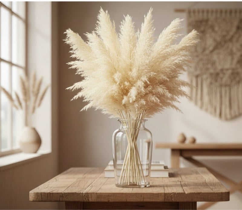 فانسي فلورز بامباس جراس طبيعي مجفف من FANCY بطول 70 سم بلون أبيض كريمي لديكور المنزل (10 عود) - Image 3