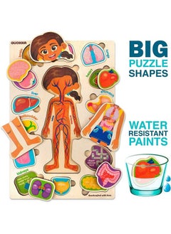 quokka Wooden Puzzles For Kids Ages 48 Montessori Toddler Puzzles Ages 35 By Quokka Preschool Game Learning Human Body Parts Anatomy Skeleton Educational Toys For Boy & Girl  - Image 4