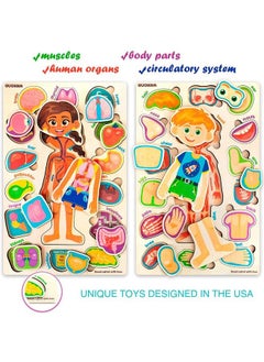 quokka Wooden Puzzles For Kids Ages 48 Montessori Toddler Puzzles Ages 35 By Quokka Preschool Game Learning Human Body Parts Anatomy Skeleton Educational Toys For Boy & Girl  - Image 3