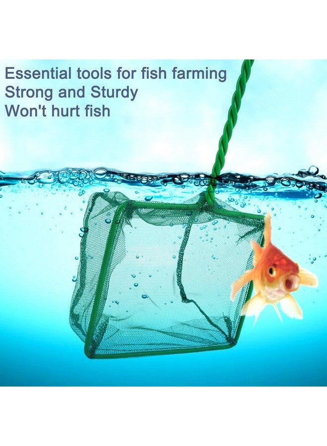 عبوة من شبكتي صيد أسماك بمقبض طويل على شكل مربع مقاس 4 بوصات و6 بوصات | أخضر من Petzlifeworld - Image 3