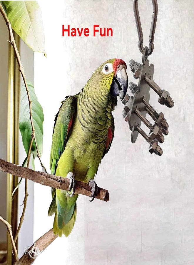 JSLZF Stainless Steel Parrot Toy, Hanging African Grey Chew Toy for Bird, Non-Removable Cap Nuts Foraging Bird Toy for Conure, Cockatiel, Parakeet, Cockatoo, African Grey - Image 3