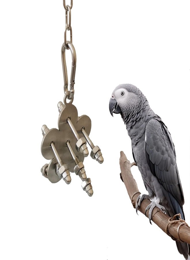 JSLZF Stainless Steel Parrot Toy, Hanging African Grey Chew Toy for Bird, Non-Removable Cap Nuts Foraging Bird Toy for Conure, Cockatiel, Parakeet, Cockatoo, African Grey - Image 1