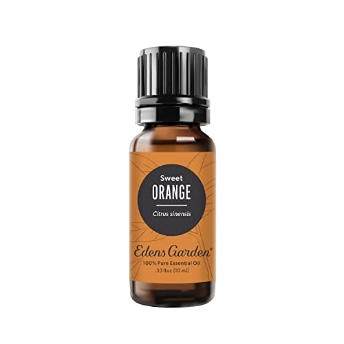 Edens Garden Orange- Sweet Essential Oil- 100% Pure Premium Grade, Undiluted, Natural, Therapeutic, Aromatherapy, The Best for Diffuser, Laundry, Humidifiers, Kid Safe 10 ml (.33 fl oz) - Image 1