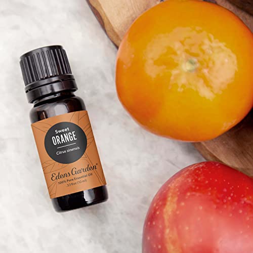 Edens Garden Orange- Sweet Essential Oil- 100% Pure Premium Grade, Undiluted, Natural, Therapeutic, Aromatherapy, The Best for Diffuser, Laundry, Humidifiers, Kid Safe 10 ml (.33 fl oz) - Image 2