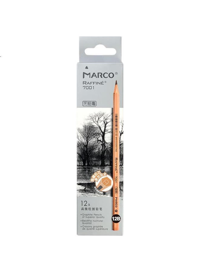 Marco 12B Sketching Pencils 12-Pack Wood Professional Art Hexagonal Rod Hand Drawing Sketching Pen Paper Box Set Student Beginner Exam Drawing Special 7001-12B Art Sketching - Image 2