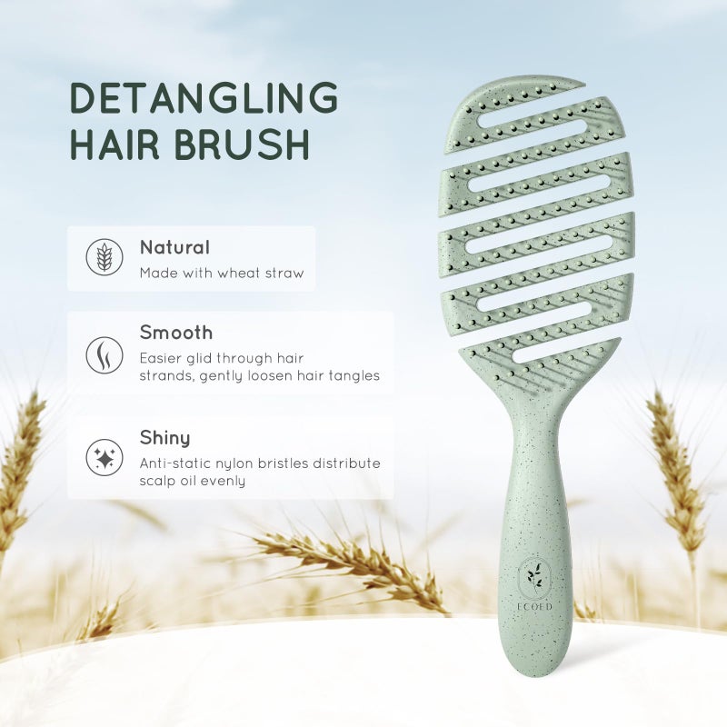 Ecoed Detangler Hairbrush, Soft Bristle Detangling Brush for Straight, Wavy, Curly and Fine Hair, Dry and Wet, Quick Smoothing for Women and Men, Eco-Friendly & Sustainable Material (Green) - Image 2