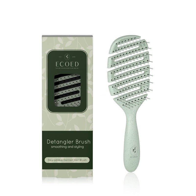 Ecoed Detangler Hairbrush, Soft Bristle Detangling Brush for Straight, Wavy, Curly and Fine Hair, Dry and Wet, Quick Smoothing for Women and Men, Eco-Friendly & Sustainable Material (Green) - Image 1