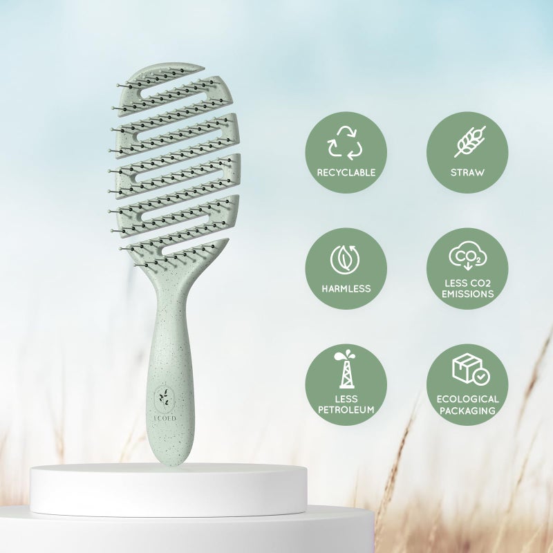 Ecoed Detangler Hairbrush, Soft Bristle Detangling Brush for Straight, Wavy, Curly and Fine Hair, Dry and Wet, Quick Smoothing for Women and Men, Eco-Friendly & Sustainable Material (Green) - Image 3