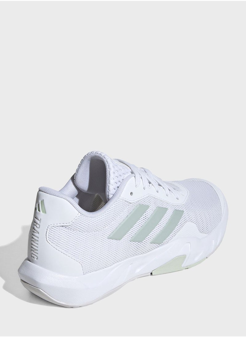 Amplimove Trainer W