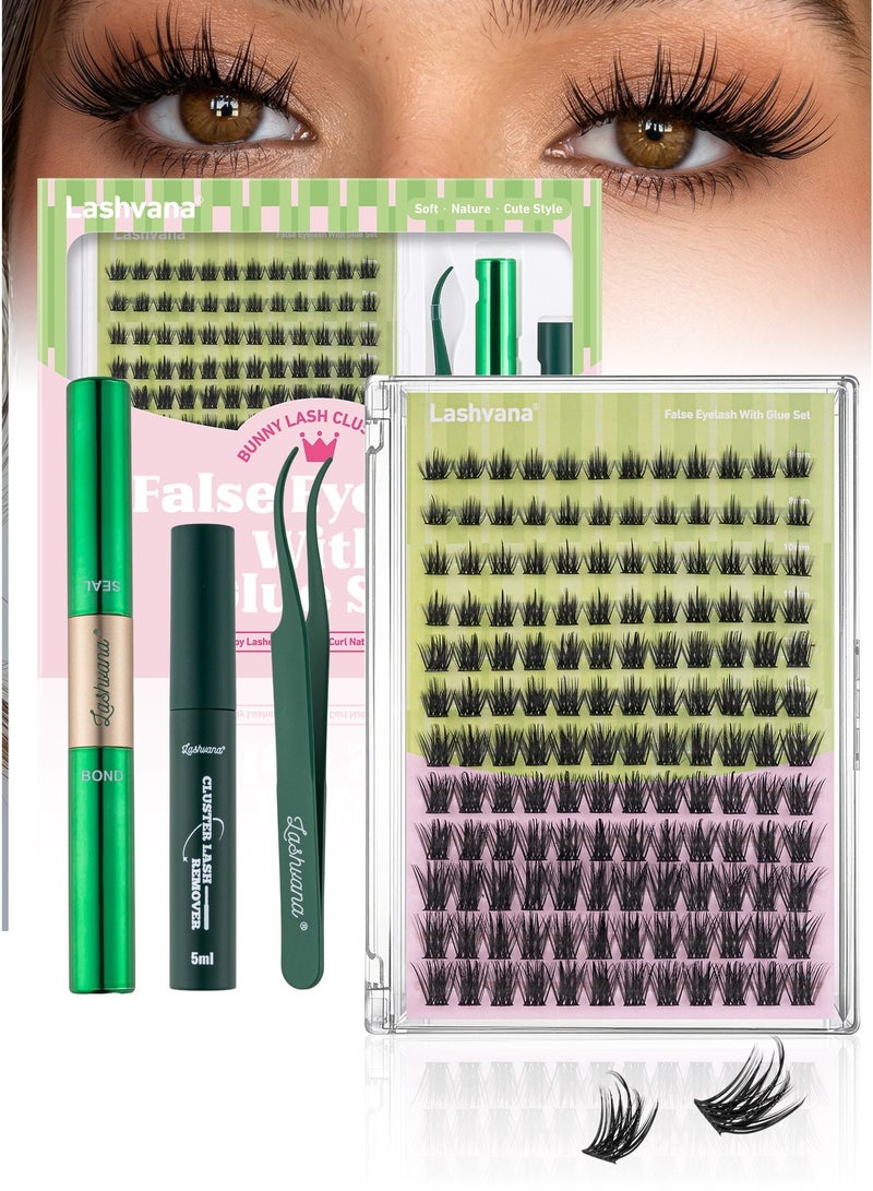 lashvana False Eyelashes With Glue Kit,Individual natural Style Lash Clusters With Lash Bond,Eyelash Brush And Tweezers, Eyelash Extension Kit, Perfect For Beginners And Professionals, Easy To Apply At Home. - Image 1