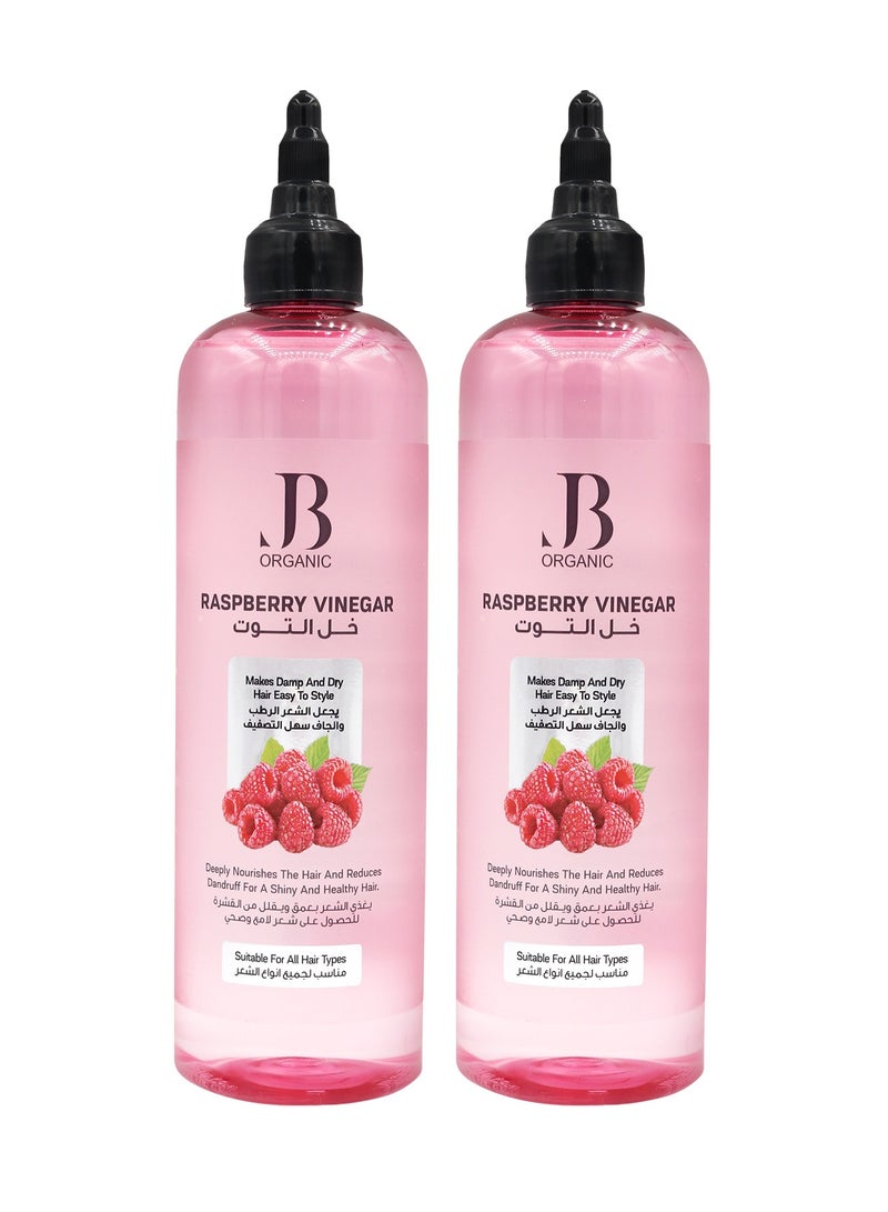جي بي اورجانيك مجموعة من قطعتين خل التوت مقوي للشعر  400*2 مل - Image 1
