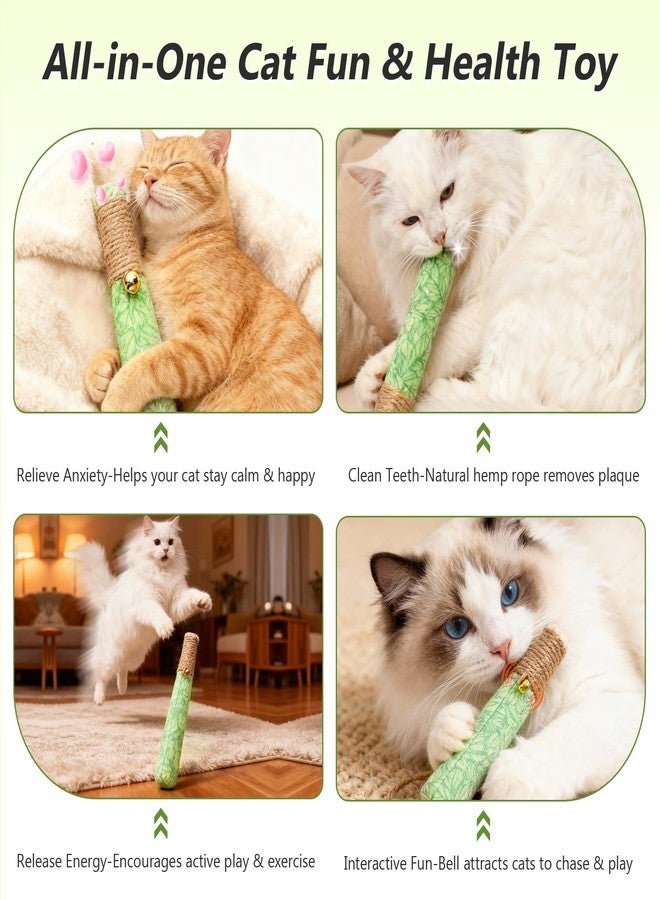 HivaolJoy 3 Pack Catnip Toys for Cats, Funny Kicker Cat Toys with Dental Rope & Jingle Bell, 100% Organic Catnip Catnip Toys, Bite-Resistant Chew Toy for Kitten Teething, Indoor Cat Toys - Image 5