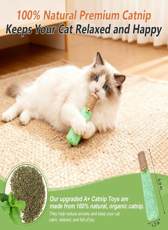 HivaolJoy 3 Pack Catnip Toys for Cats, Funny Kicker Cat Toys with Dental Rope & Jingle Bell, 100% Organic Catnip Catnip Toys, Bite-Resistant Chew Toy for Kitten Teething, Indoor Cat Toys - Image 3