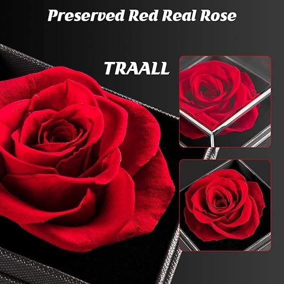 Bindex Preserved Rose Flower Gifts for Women Real Rose Flower with Heart Necklace Eternal Flowers Rose Gifts Infinity Fresh Flower with Jewelry Gift for Birthday Gift Women - Image 4