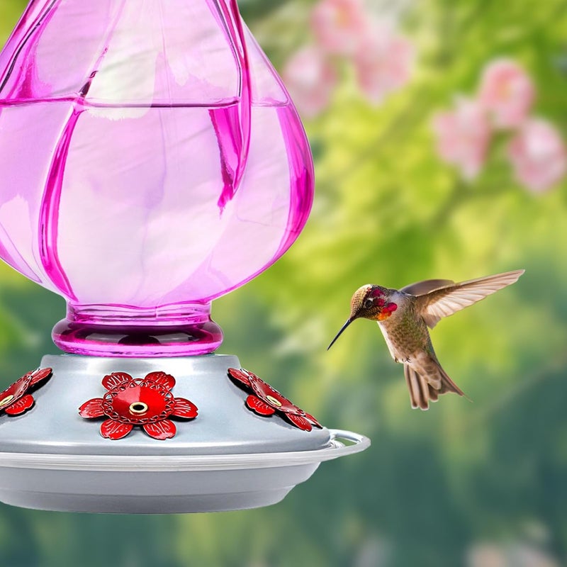 BOLITE Hummingbird Feeder, BOLITE Glass Hummingbird Feeders for Outdoors Hanging, with Ant Moat and Five Feeding Ports, 22 Ounces, Leak Proof, Purple Bottle - Image 3