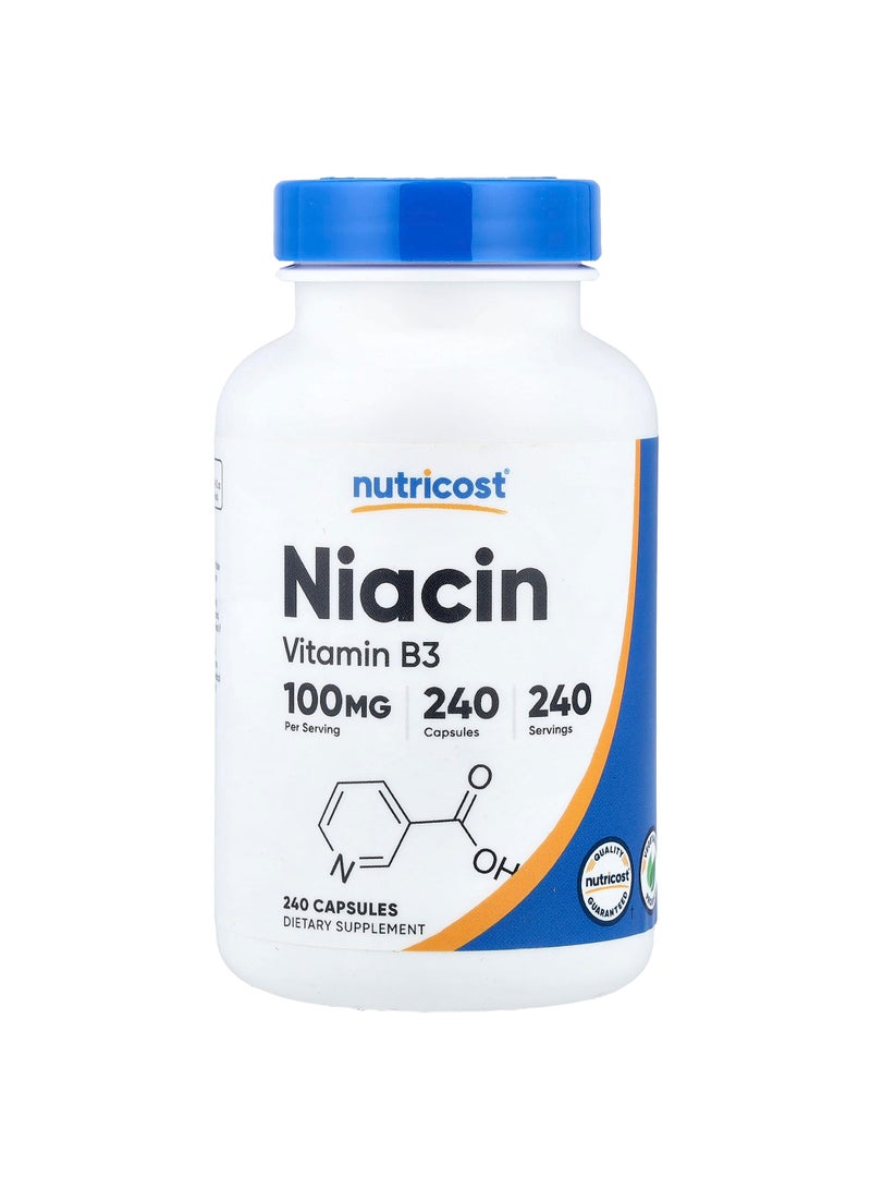 Niacin, 100 mg, 240 Capsules