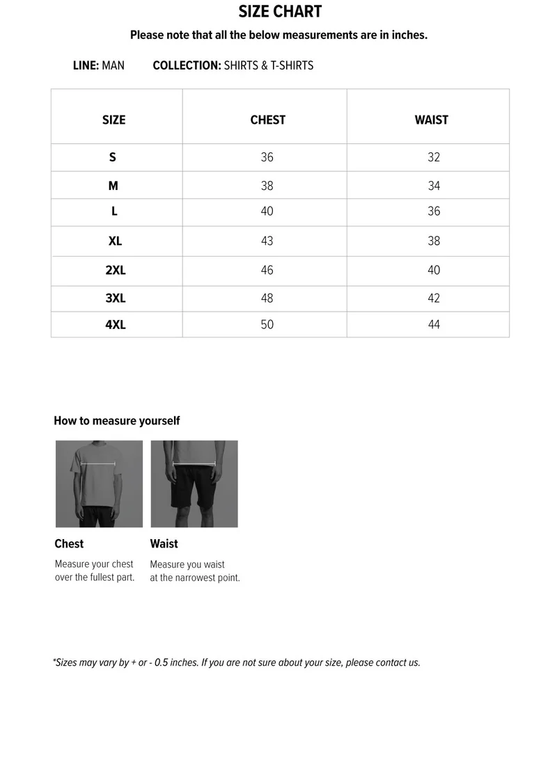 شايبس MIDWEIGHT SLOGAN PRINT T-SHIRT
