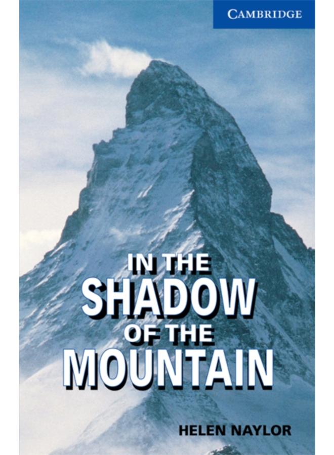In the Shadow of the Mountain Level 5
