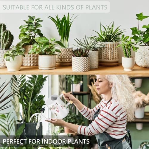 GUKJOB Watering Can Indoor Plants, 35oz Small Stainless Steel Metal Watering Can Modern Decorative Watering Pot with Long Spout for Indoor House Plant Bonsai Garden Flowers (White 1) - Image 5