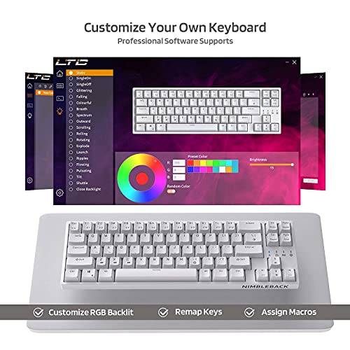LTC NB681 Nimbleback Wired 65% Mechanical Keyboard, RGB Backlit Ultra-Compact 68 Keys Gaming Keyboard with Hot-Swappable Switch and Stand-Alone Arrow/Control Keys (Hot Swappable Brown Switch, White) - Image 3